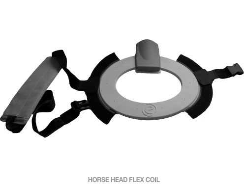 Horse head Flex Coil